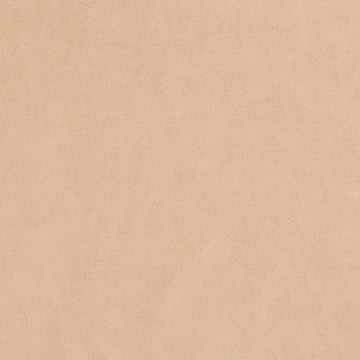 Ellison Studios Swatch - Malibu Dune