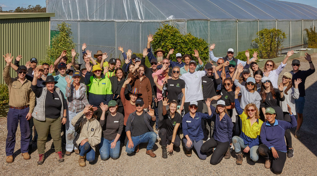 Life Interiors x Greening Australia | Tree-Planting Event
