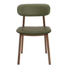 #colour_olive-green
