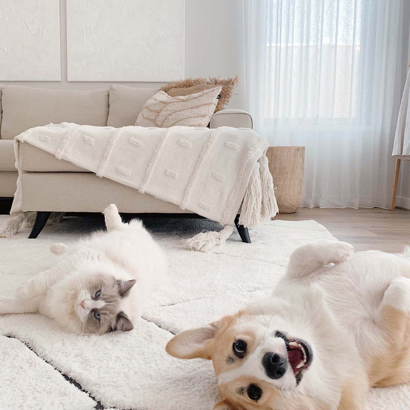 Tahlee Tribal Shag Rug