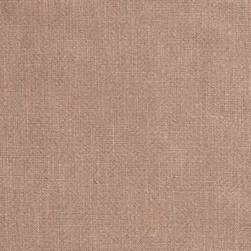 Ellison Studios Swatch - Byron Biscuit