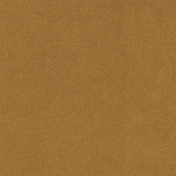 Ellison Studios Swatch - Malibu Almond
